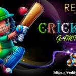 Reddy Anna: Everything You Need to Know